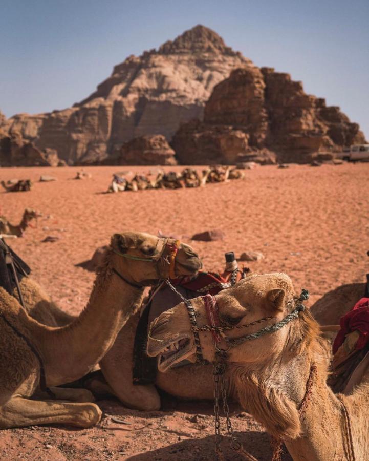 Apartamento Sun Luxury Camp &Tour Wadi Rum Exterior foto